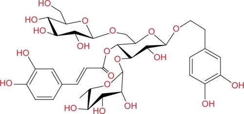 Figure 1 Structure of ECH.