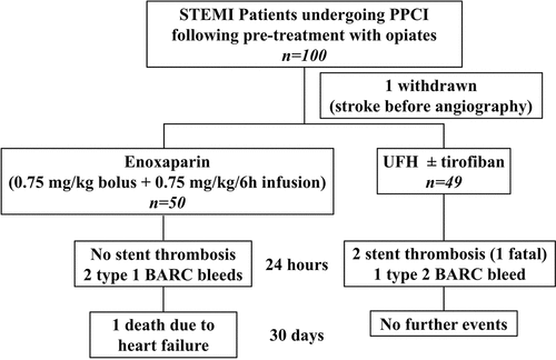 Figure 1. Study flowchart STEMI: ST-elevation myocardial infarction; PPCI: primary percutaneous coronary intervention; UFH: unfractionated heparin.
