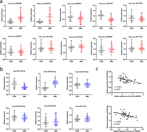 Figure 8 Quantitative real-time PCR results of circRNAs and miRNAs expression. (a): RT-qPCR of 10 circRNAs (b): RT-qPCR of 6 miRNAs. (c): Relationships of circRNAs and miRNAs. **p<0.05.