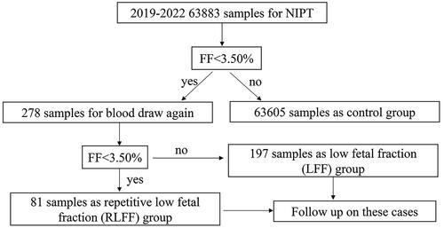 Figure 1. Flow chart of study population. It is necessary to point out that the influence of gestational age on RLFF was compared by dividing RLFF into two groups: RLFF1 (gestational age at first NIPT) and RLFF2 (gestational age at second NIPT). RLFF1 and RLFF2 represent the same population at different gestational stages for NIPT.