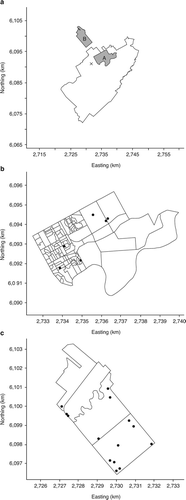 Figure 1. Maps showing (a) the boundaries of Palmerston North city (x = central business district) and the location of two study areas (A = urban area; B = urban-rural fringe area) relative to the city boundaries, and locations of the poultry-positive (Display full size) and -negative (Display full size) land parcels in mesh-blocks comprising (b) the urban area, and (c) urban-rural fringe area.