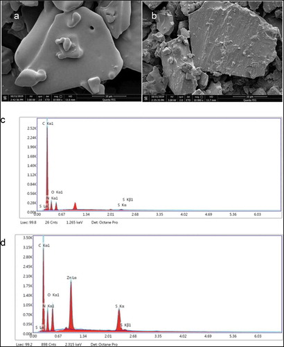 Figure 4. (A,B) SEM photographs (10,000×) of (A) PPF3 and (B) PPF3-Zn. (C,D) EDS images of (C) PPF3 and (D) PPF3-Zn.Figura 4. (A,B) Fotografías SEM (10,000×) de (A) PPF3 y (B) PPF3-Zn. (C,D) Imágenes EDS de (C) PPF3 y (D) PPF3-Zn.SEM: Microscopio electrónico de barrido, EDS: Espectroscopia de energía dispersa, PPF3: Péptido del cacahuate con MW < 3 kDa, PPF3-Zn: Quelato del péptido del cacahuate con MW < 3 kDa y Zn2+, MW: Peso molecular.