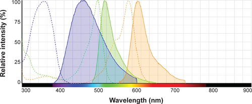 Figure S2 Absorption and emission spectrums of used fluorochromes.Notes: DAPI: blue; FITC: green; and Alexa Fluor 568: red.Abbreviations: DAPI, 4′,6-diamidino-2-phenylindole; FITC, fluorescein isothiocyanate.