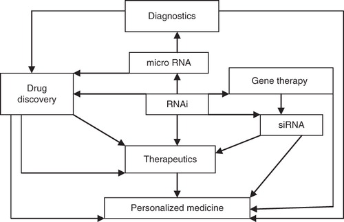 Figure 2. Role of RNAi in personalized medicine.