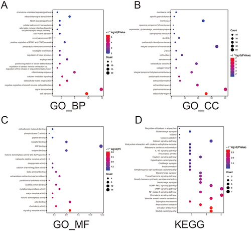Figure 2 Functional enrichment analyses of DEGs. (A–C) GO enrichment analysis of DRGs. (D) KEGG enrichment analysis of DRGs.