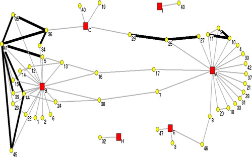 Fig. 2 SNA of NWT1 DNA fingerprint cluster. The yellow circles represent the cases and the red squares represent the communities. The heavy black lines represent cases reported within 2 years, while the lighter lines represent exposure between the cases exceeding 2 years.