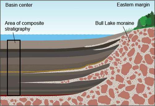 Figure 4. Generalized cross section of the Ziegler Reservoir sedimentary sequence at the end of MIS 4 (after Pigati et al. Citation2014). The Bull Lake moraine is shown with several postdepositional debris flows, or slumps, emanating into the center of the basin where they interfinger with fine-grained basin sediments. The box shows the approximate location of the composite stratigraphy included in Figure 5.