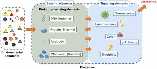 Figure 1. General mechanisms of biosensor for pollutants detection. The basic construction of biosensor contains sensing elements and signaling elements. The biological-sensing elements including DNA (aptamer), protein (enzyme), antibody, and whole-cell (bacteria) are able to recognize the environmental pollutants such as heavy metals and organic pollutants. The signaling elements would be triggered by sensing elements and produce the different signals such as fluorescence, luminescence, color, pH change, or electricity that could be measured or detected by the operators.