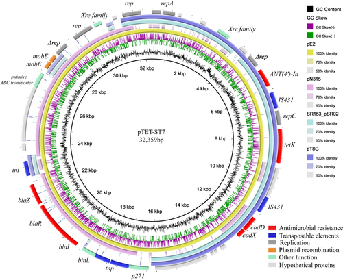 Figure 2 Structure of pTET-ST7, the plasmid in strain FJ0318. The inner circle represents GC content. The outer circle represents ORFs. The resistance genes, replications, transposable elements, and plasmid recombination were shown beside the relevant ORFs. The plasmid sequence was aligned to pE2, pN315, SR153_pSR02 and pT8G. The relevance of circle color and plasmid was in top right corner.