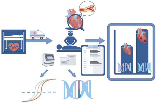 Figure 4 Summary or prospect description of this study. The figure was drawn by Figdraw.