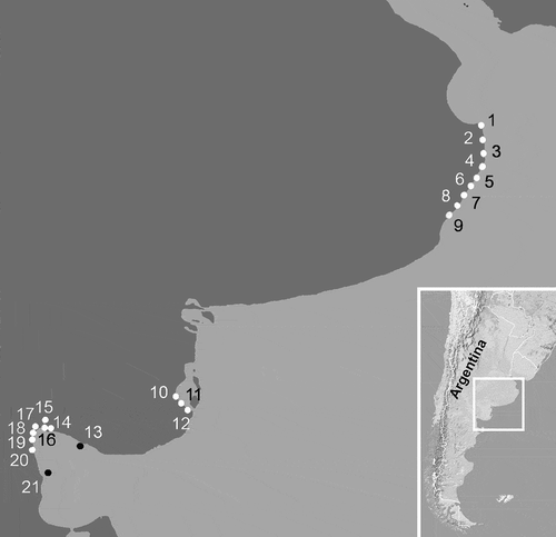 Fig. 1. Map of the marine littoral of Buenos Aires Province and North of Río Negro Province, showing sampling stations and location of the area in Argentina. 1: San Clemente del Tuyú, 2: Santa Teresita, 3: Mar del Tuyú, 4: La Lucila del Mar; 5: Mar de Ajó, 6: Nueva Atlantis, 7: Pinamar, 8: Villa Gesell, 9: Mar Azul, 10: Los Pocitos, 11: Ría del Jabalí, 12: Bahía San Blas, 13: Punta Orengo, 14: Las Garzas, 15: San Antonio Oeste, 16: Banco Reparo, 17: Los Álamos, 18: Las Grutas, 19: Piedras Coloradas, 20: El Sótano, 21: El Fuerte.