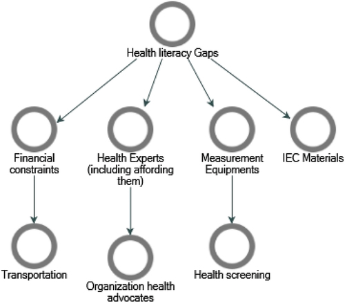 Figure 5. Health literacy gaps emergent themes.