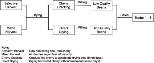 Figure 4. Coffee’s post-harvest processes in Tebat Benawa. Source: Interviews and FGDs conducted in May and October 2019.