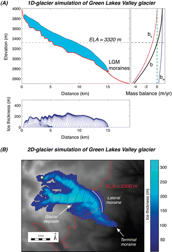 FIGURE 8 (A) 1D model of the Green Lakes Valley (GLV) glacier for an imposed steady-state climate run-out to 1000 years. Ice thickness profiles at 50-year intervals are shown in the bottom panel. Model terminus position coincides with the mapped terminal moraines. Mass balance profile for 1D model is shown on the right, where b is net mass balance, bs summer balance, and bw winter balance. The resulting equilibrium line altitude (ELA)  =  3320 m, where b  =  0. (B) 2D model of the GLV glacier reaches the terminus position during an ELA lowering experiment when ELA  =  3300 m (red solid line), which coincides well the 1D glacier results. The 2D simulation is run with a mask based on mapped glacial deposits (CitationMadole, 1986), for example on the southern rim of the Arapaho Valley. Glacier thicknesses range from a minimum of 10 m to 320 m (see color bar). The yellow star indicates the position of the sample GLV-2 with significant 10Be inheritance. The relatively thin ice cover at this site, and the correspondingly slow sliding speeds there, suggest that the glacier at this location should not have eroded efficiently.