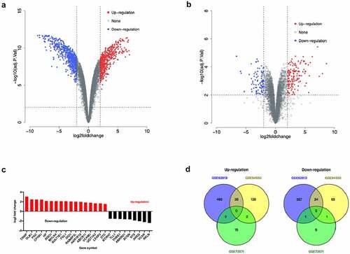 Figure 2. Analysis of differentially expressed genes in sorafenib-resistant HCC cells. a. Volcano map of the gene expression related to sorafenib resistance in the GSE62813 dataSet. b. Volcano map of gene expression related to sorafenib resistance in the GSE94550 dataSet. c. Volcano map of gene expression related to sorafenib resistance in the GSE73571 dataSet. d. Venn diagram of sorafenib resistance-related gene expression in GSE62813, GSE94550 and GSE73571 dataSets.