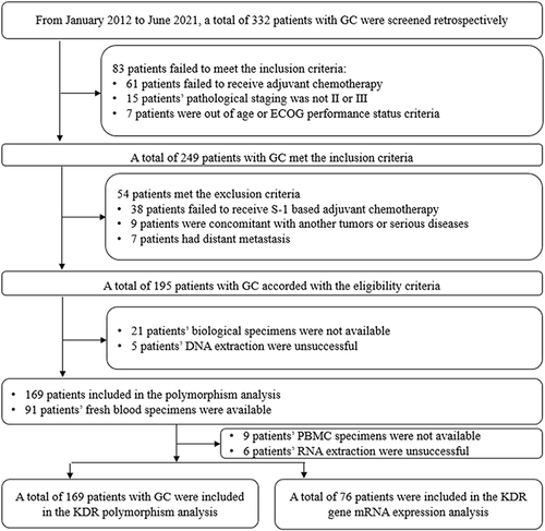 Figure 1 Flow chart of this retrospective study regarding the implication of KDR polymorphism on the prognosis of patients with gastric cancer who received S-1-based adjuvant chemotherapy.