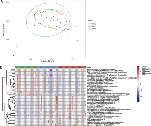 Figure 6 Functional alterations in the gut microbiome. (A) The whole diversity in the pathways between different groups. (B) Differentially abundant functional gene pathway heatmap between allergic children and healthy controls; Colored by the relative abundance of each pathway. Identified by LEfSe at P<0.05 (Kruskal-Wallis test) and LDA score>2. P-values are adjusted by the false discovery rate (Benjamini-Hochberg FDR, q<0.05) method.