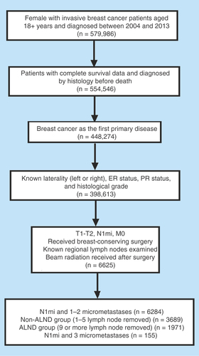 Figure 1.  Selection process of our defined population.ALND: Axillary lymph node dissection; ER: Estrogen receptor; PR: Progesterone receptor status.