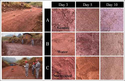 Figure 6. Photos of field application test.