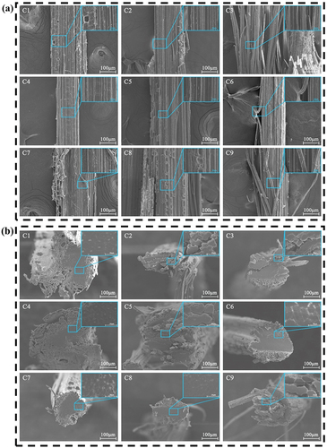 Figure 4. (a) Surface and (b) cross-section microstructure of BFs under different steam explosion processes.