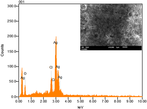 Figure 4. EDS image of silver nanoparticles produced from P. glandulosa.