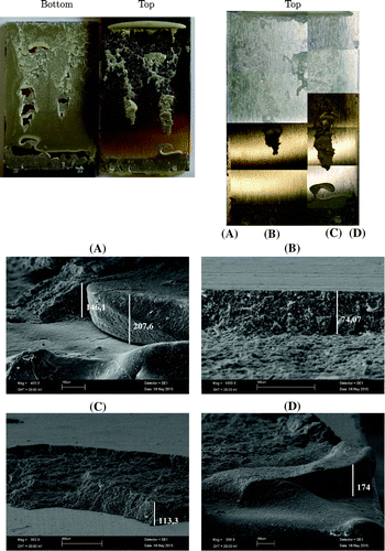 Figure 18. SEM and macroscope photographs of adhesive fracture surfaces in Al 2024 adhesive single-lap joint ( mm and J, measurements in m).