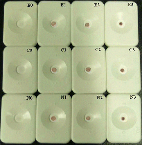 Figure 6.  The DIGFA for three fluoroquinolones residues in spiked eel muscles. E0, E1, E2 and E3 referred to blank and samples spiked with enrofloxacin of 20 µg kg−1, 50 µg kg−1 and 100 µg kg−1, respectively; C0, C1, C2 and C3 referred to blank and samples spiked with ciprofloxacin of 20 µg kg−1, 50 µg kg−1 and 100 µg kg−1, respectively; N0, N1, N2 and N3 referred to blank and samples spiked with norfloxacin of 50 µg kg−1, 100 µg kg−1 and 150 µg kg−1, respectively.