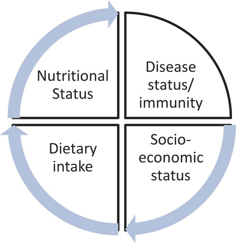 Figure 1. Socio-economic status as relates to nutritional status.