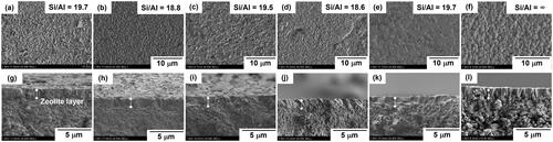 Figure 4. Typical FE-SEM images of prepared zeolite membranes. Surface and cross-section of ZSM-5 membrane on (a,g)SA, (b,h)SB, (c,i)SC, (d,j) SD and (e,k)SE. Surface (f) and cross-section (l) of silicalite-1 membrane on SD.