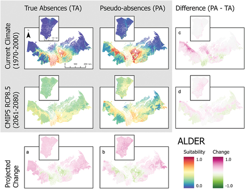 Figure 2. Ensemble habitat suitability maps (gray box) for alder (Alnus viridis) projected under current and future climate conditions using true absence and pseudo-absence models. Banks Island is inset over the mainland portion of the study area for enhanced visualization. Plots (A)–(D) correspond to differences between climate projections and data types along the columns and rows.