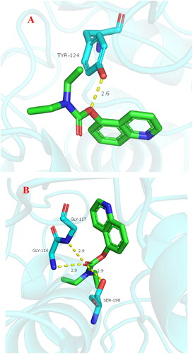 Figure 11. (A) The docking model for 3f into protein crystal structure of hAChE (PDB code: 4ey4). (B) The docking model for 3f into protein crystal structure of hBuChE (PDB code: 4tpk).