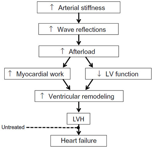 Figure 1 Working theoretical framework linking arterial stiffness and wave reflections to increased LV work and hypertrophy.
