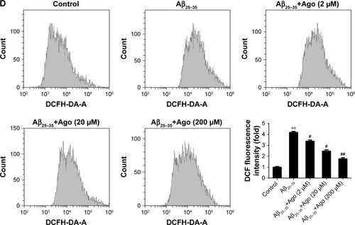 Figure 1 Effects of agomelatine on oxidative stress induced by Aβ25–35 in PC12 cells.