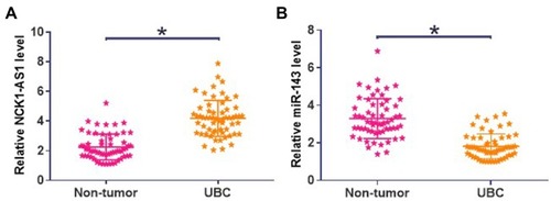 Figure 1 NCK1-AS1 and miR-143 showed opposite expression patterns in UBC NCK1-AS1 (A) and miR-143 (B) expression level measurements and comparisons (UBC vs non-tumor) were performed by qPCR and paired t test, respectively. Three replicates were included and mean values were presented, *p<0.05.