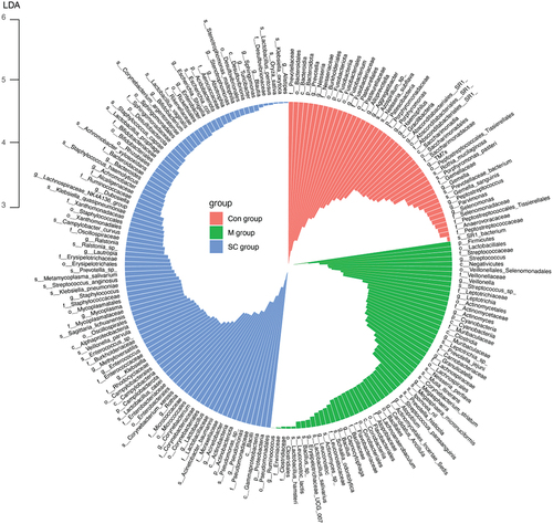 Figure 4. LEfSe analysis showed the most abundant taxa from the phylum to the genus level among Con, M and S-C groups.