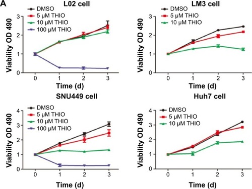 Figure 2 Thioridazine (THIO) inhibits proliferation of hepatoma cells in vivo and in vitro.