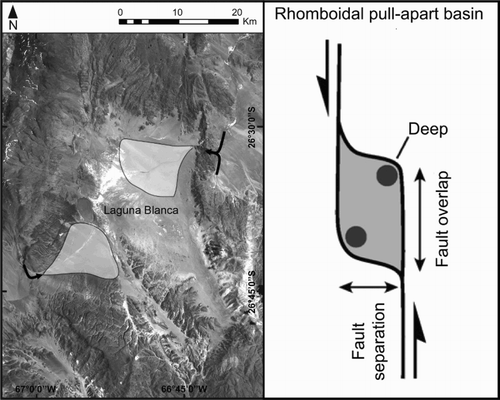 Figure 5. Comparison between the location of alluvial fans in the Laguna Blanca basin and the deeps developed at the distal ends of a rhomboic pull-apart basin, according to the continuum model of pull-apart basin development by CitationMann et al. (1983), (modified from CitationDooley & Schreurs, 2012). Black arrows indicate stream captures.