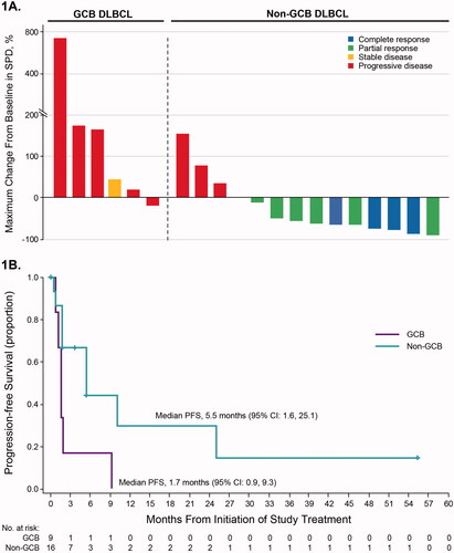 Figure 1. Efficacy outcomes in patients with non-GCB or GCB subtype DLBCL (part 2). (A) Responses and percentage change in tumor burden in individual patients (n = 20). Data are not shown for 3 patients with GCB subtype DLBCL and 2 patients with non-GCB DLBCL, who were not on study long enough to complete response assessment and were thus not evaluable. These patients were treated for ≤42 days. (B) Progression-free survival. Abbreviations: CR: complete response; DLBCL: diffuse large B-cell lymphoma; GCB: germinal center B-cell; PD: progressive disease; PFS: progression-free survival; PR: partial response; SD: stable disease; SPD: sum of product diameters.
