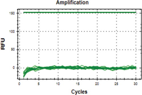 FIGURE 8 Curve amplification of DNA samples of dendeng commercial product using cytochrome b (cytb) gene primer.