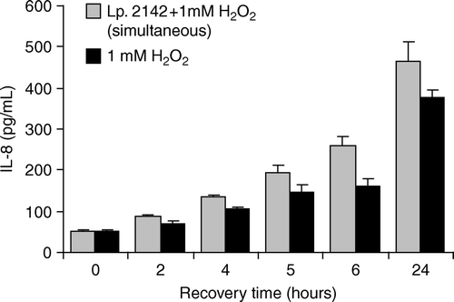 Figure 2.  Effect of simultaneous application of Lactobacillus plantarum 2142 and 1 mM H2O2 on IL-8 production of Caco-2 cells. Caco-2 cells were treated for 1 h either with the combination of L. plantarum 2142 and 1 mM hydrogen peroxide or with 1 mM hydrogen peroxide alone. After removing lactobacilli and hydrogen peroxide by washing with plain DMEM, Caco-2 cells were allowed to recover in plain DMEM medium for up to 24 h. In the supernatants IL-8 was determined. Mean and SD of triplicates are given. There were no significant differences (p<0.05) between the IL-8 levels in supernatants of Caco-2 cells exposed either to lactobacilli and hydrogen peroxide concomitantly or to hydrogen peroxide alone.