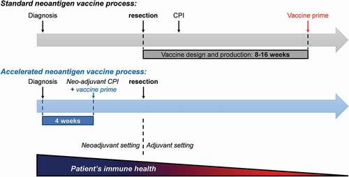 Figure 3. Neoantigen vaccine administration timeline. Patients have for the most part received NEO-PCVs in adjuvant settings due to slow design and production. Optimized vaccine design systems that employ diagnostic biopsies to identify neoantigens along with accelerated manufacturing and formulation processes allow vaccines to be administered in the neoadjuvant setting, where patients and their immune system are overall healthier. CPI: checkpoint inhibitor.