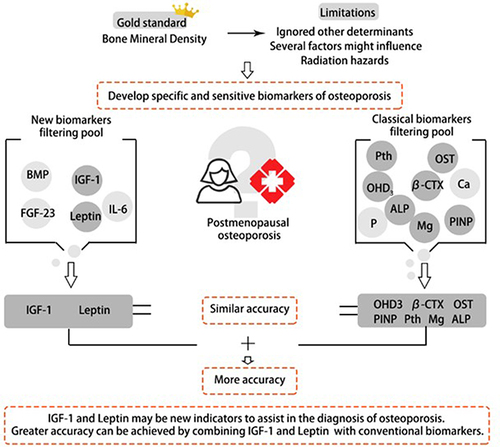 Figure 4 The combination of IGF-1 with leptin predicts PMOP patients with similar accuracy to classical biomarkers. This might be of interest in diagnosing PMOP, where the assessment of all biomarkers contributing to a diagnostic model can be expensive and time-consuming.