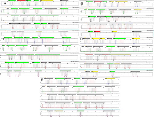 Figure 14. DNA profiles obtained from case samples related to a dog attack incident using the Canine 25 A kit: A) Rottweiler, B) Poodle, C) German Shepherd Dog, D) shirt with dog bite marks, and E) pants with dog bite marks.