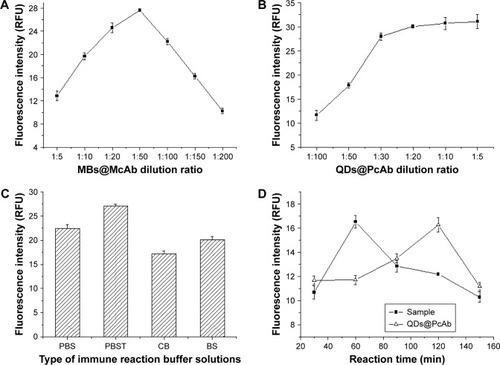 Figure 2 (A) The effect of MBs@McAb dilution ratio on fluorescence intensity. (B) The effect of QDs@PcAb dilution ratio on fluorescence intensity. (C) The effect of different immune reaction buffers on fluorescence intensity. (D) The best reaction time of MBs@McAb and QDs@PcAb with DNMT1 in serum sample.Abbreviations: MBs, magnetic beads; McAb, monoclonal antibody; QDs, quantum dots; PcAb, polyclonal antibody; DNMT1, DNA methyltransferase 1; RFU, relative fluorescence units; PBS, phosphate buffer saline; PBST, phosphate buffer saline with 0.05% Tween-20; CB, carbonate buffer; BS, borate saline.