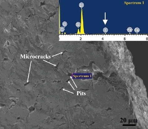 Figure 5. The microstructure and EDS analysis of the specimen surface after I-SCC experiment with iodine pressure of 102 Pa.