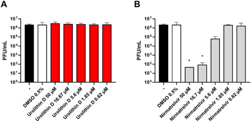 Figure 11. Antiviral activity of urolithin D (11) and nirmatrelvir (1). Cells were infected with 0.01 multiplicity of infection of SARS-CoV-2 BA.5 variant and treated with different concentrations of (A) urolithin D or (B) nirmatrelvir for 48 h. After incubation, the supernatant viral load was assessed through plaque assay. Viral titres are expressed as mean ± SD of plaque-forming units (PFU)/mL from two experiments performed in triplicate. *p < 0.05, antiviral-treated sample vs. vehicle-treated sample.