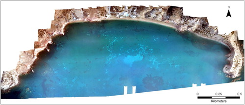 Figure 2. An aerial map of Palaeochori bay produced using 156 photographs from an UAS survey in 2016. White areas indicate bacterial mats, which formed due to the discharge of hydrothermal fluids. The darker areas are sea grass meadows.