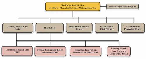 Figure 2. Structure of Nepal’s health sector the level of Municipality/Metropolitan City Level.