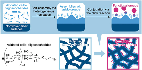 Figure 1. Schematic illustration of this study.