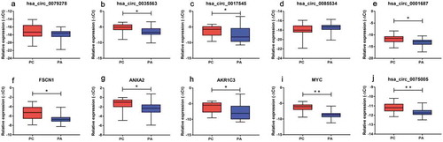 Figure 3. Validation of the differentially expressed circRNAs (a-e, j) and mRNAs (f-i) between the PC and PA tissues. FSCN1, ANXA2, AKR1C3 and MYC represent the host genes of hsa_circ_0079278, hsa_circ_0035563, hsa_circ_0017545 and hsa_circ_0085534. hsa_circ_0035563, hsa_circ_0017545, hsa_circ_0001687 and hsa_circ_0075005 were upregulated in the PC tissues. All transcripts were verified in a cohort of PC (n = 20) and PA (n = 41) tissues. * p < 0.05, ** p < 0.01.